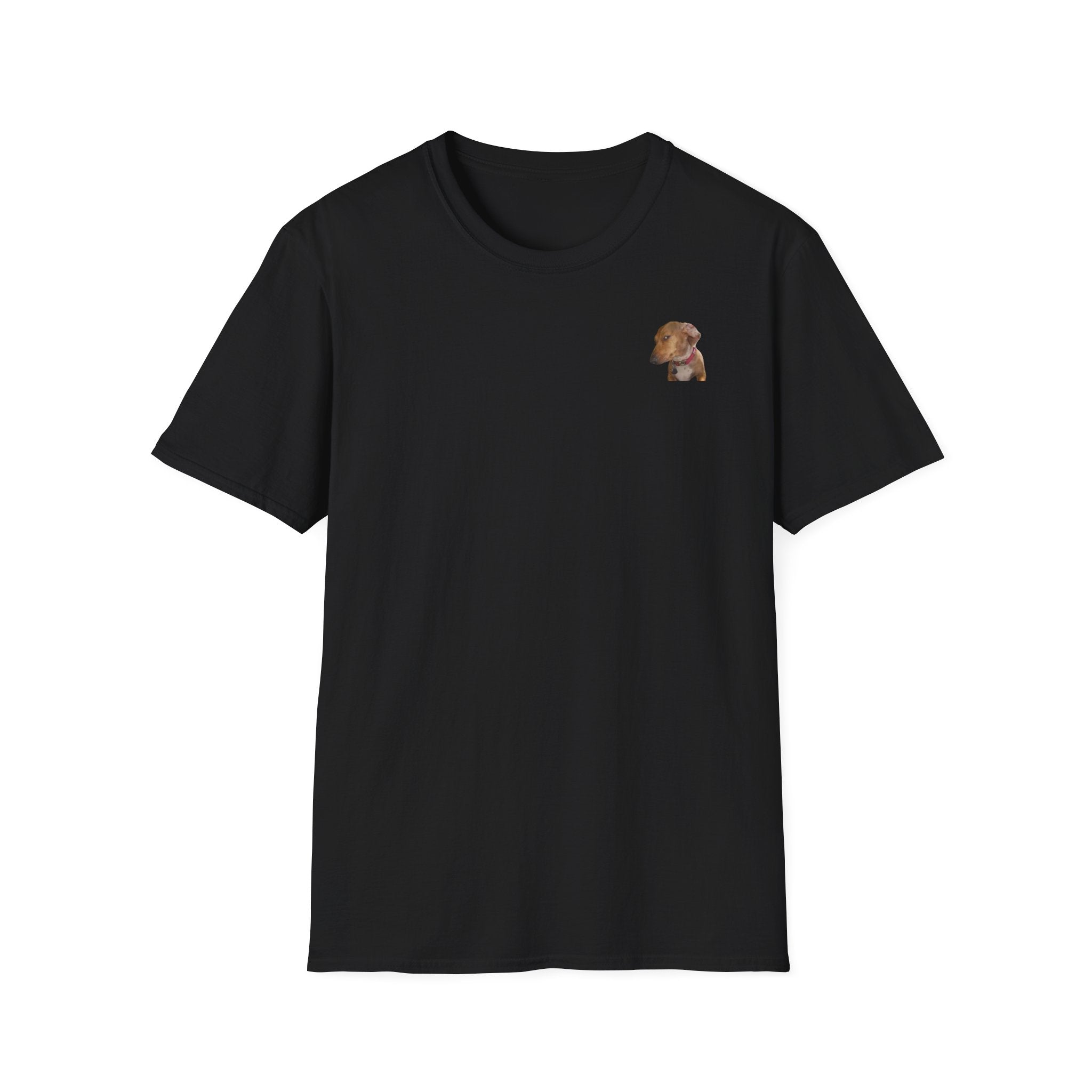 Mysteriöser Hund Shirt