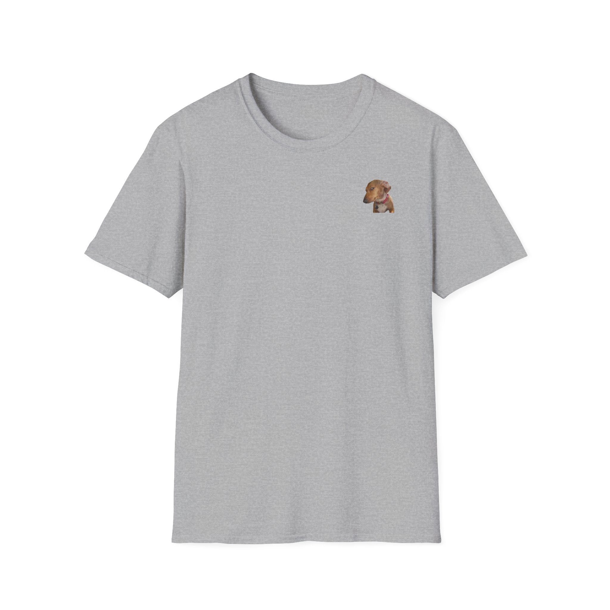 Mysteriöser Hund Shirt