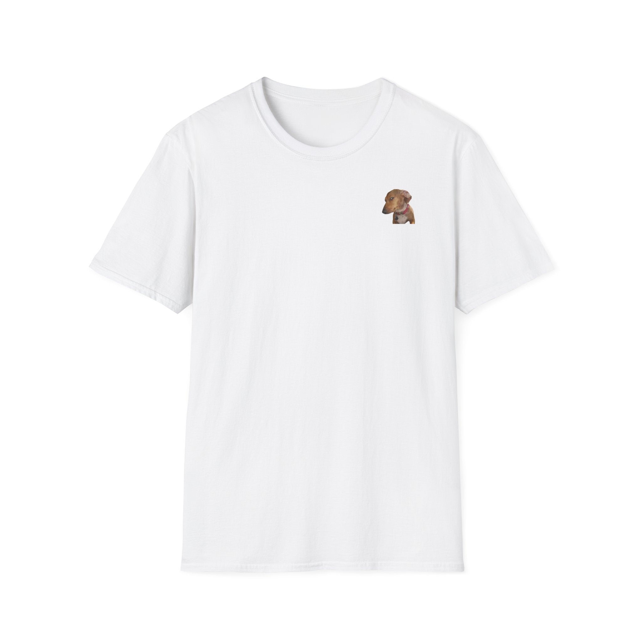 Mysteriöser Hund Shirt