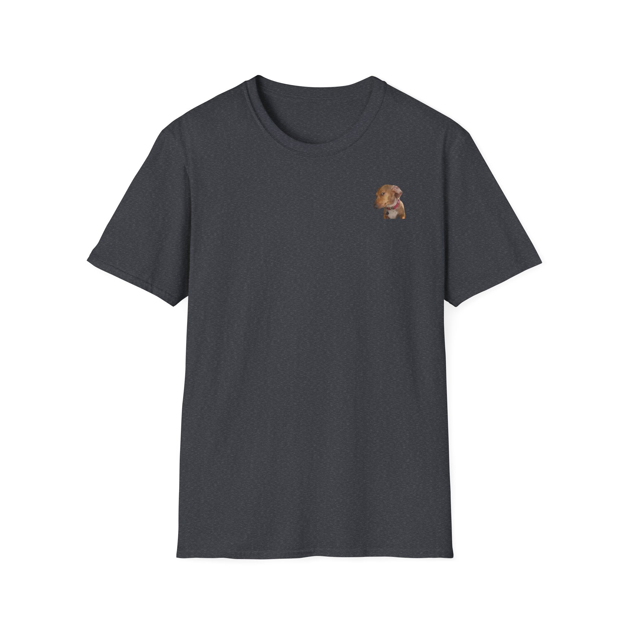 Mysteriöser Hund Shirt
